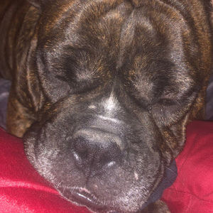 Meet your Posher, April